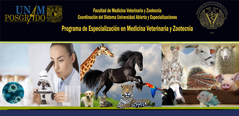 Programa de especialización en medicina veterinaria